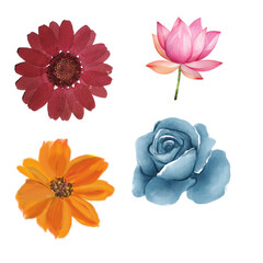 "Elegant Flower Illustrations Bundle: Hand-Drawn Floral Designs for Creative Projects"