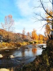 Golden Serenity: Tranquil Autumn River Scene