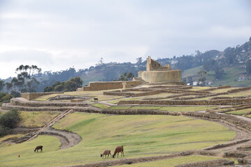 Ingapirca, the largest Inca site in Ecuador