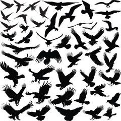flying birds silhouettes large set on white background