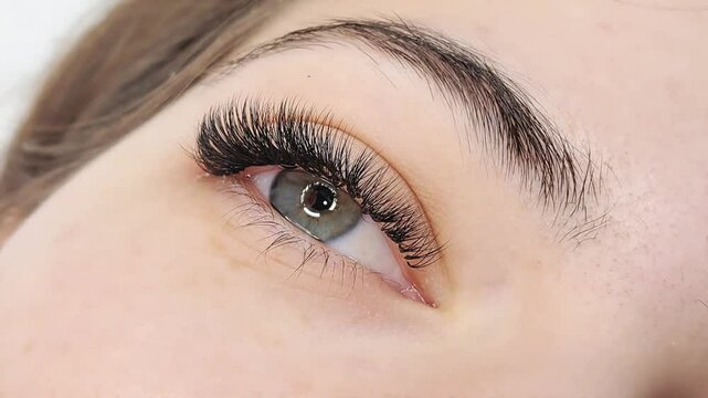 Close up of eye with eyelash extensions ,beauty salon treatment ,2d volume, 3d volume, classical lashes,Russian volume,megavolume, new set