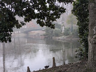 Misty winter day in Bordeaux public garden, bridge, statues birds and almost frozen lake