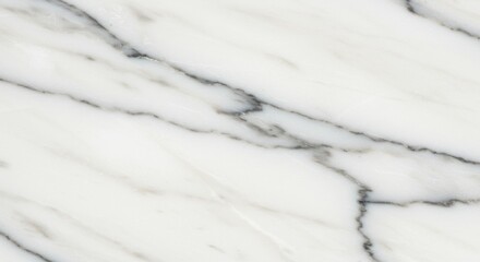 Obraz premium Clean Minimal Marble Texture with Subtle Gray Veins for Luxury Beauty and Branding Backgrounds