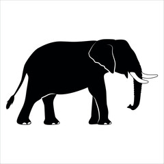Fototapeta premium Animal Elephant silhouette vector illustration