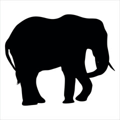 Animal Elephant silhouette vector illustration