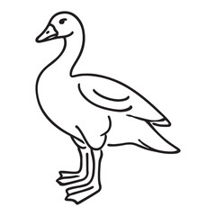 Simple Domestic Goose Line Art Illustration