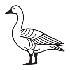 Illustration of a Snow Goose Bird