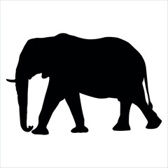 Fototapeta premium Animal Elephant silhouette vector illustration