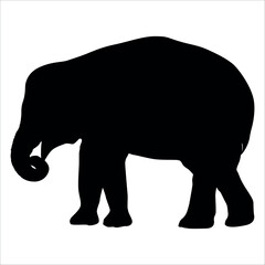 Animal Elephant silhouette vector illustration