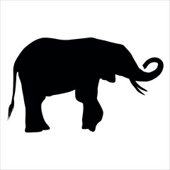 Animal Elephant silhouette vector illustration