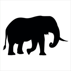 Animal Elephant silhouette vector illustration