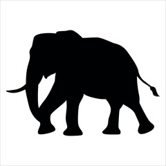 Obraz premium Animal Elephant silhouette vector illustration