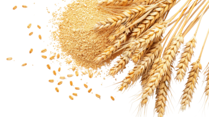 Pile of wheat powder on transparent background
