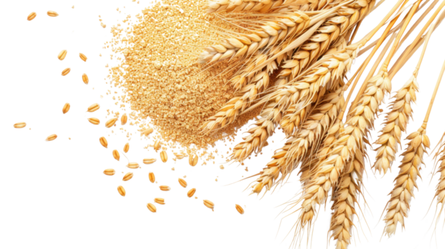 Pile of wheat powder on transparent background