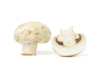 group of mushroom isolated on white background
