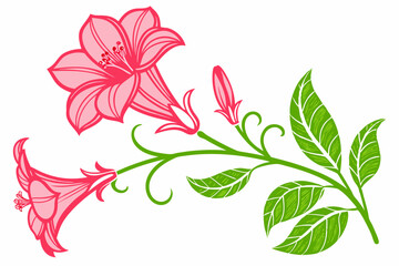 Heather Flower, Clover Blossom, Redwood Branch, Violet Bloom Silhouette on Solid White Background