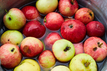 yellow and red apples are in a metal bucket