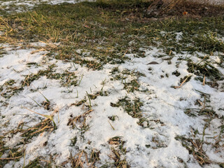Snow lightly covers green grass alongside a path in an early winter landscape
