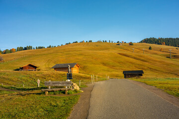 Fototapeta premium Alpe di Siusi the high plateau in the heart of the Dolomites is a natural paradise in autumn