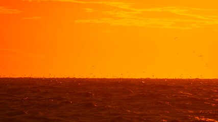 Sunset Orange Sky Desert Landscape: Vivid orange sunset over flat desert landscape at dusk. - Powered by Adobe