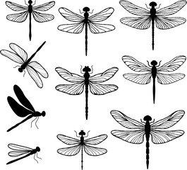 set of black silhouette of dragonfly. Vector illustration. Minimalist and delicate design. For logo, icons design
