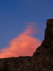 A solitary tree stands gracefully on a hillside as the sky blazes in hues of pink at dusk,...