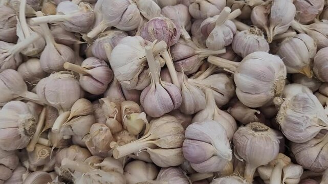 garlic on market