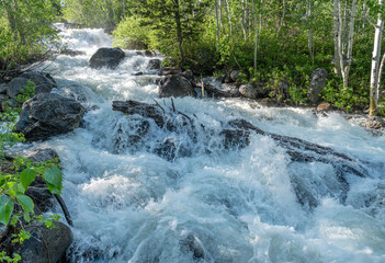 White Water, logs and rocks in Taggart Creek, Grand Teton National Park, Wyoming, USA
