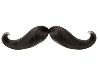 A realistic artificial mustache made of synthetic hair, isolated on a transparent background.