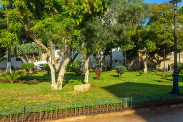 garden with trees in casablanca morocco