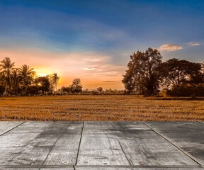 Wooden table top with rice field background after harvest with nature sky evening sunlight free space for displaying products.
