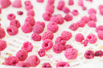 Process of drying raspberry berries in a kitchen appliance. Raspberry in a dryer. Preparing dried sweet berries at home. Delicacy that will keep for a long time.