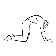 Cat Yoga Pose Vector