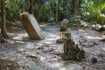 Tikal's Group H, the most remote section of the park