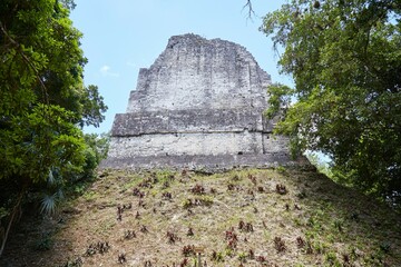 Tikal's lesser-visited Temple VI, still under excavation