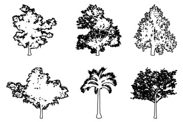 Fototapeta premium Set or collection of trees as a black line drawing silhouette on white background. Concept or conceptual vector for nature, planet, ecology conservation, strength, endurance and beauty