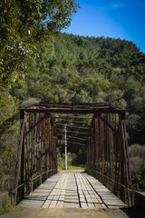 wooden bridge in the forest