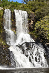 waterfall in the forest