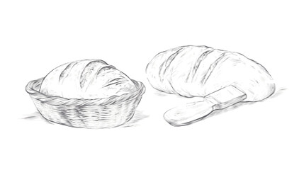 continuous line illustration of a fresh sourdough loaf. bakery item.