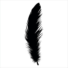 Obraz premium Bird Feather silhouette vector illustration