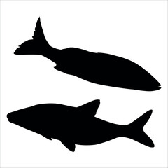 Black Fish silhouette vector illustration