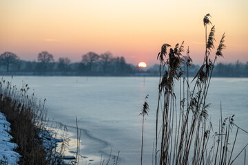Breeding pond and reeds at sunset