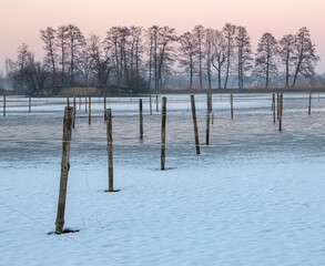 Frozen pond and trees © Stanislawski