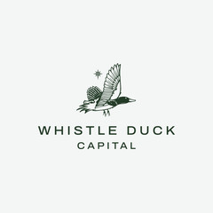 Fototapeta premium Duck accounting financial logo design concept
