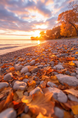 Autumn Lakeside Pebbles and Leaves at Sunset