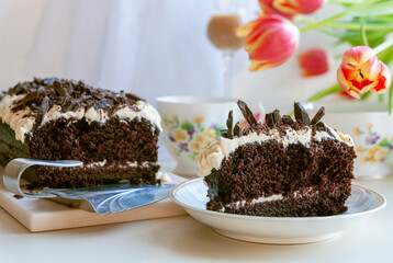 A slice of rich dark homemade chocolate cake sprinkled with chocolate chips
