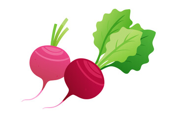 Illustration of beets with green leaves