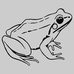 frog line art silhouette vector design art and illustration