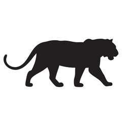 A flat silhouette of a tiger with its tail swishing, walking with confidence, black silhouette on a white background.