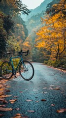 Fototapeta premium Bicycling on a tranquil autumn road surrounded by orange foliage and fallen leaves